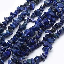 Natural Lapis Lazuli Beads Strands, Dyed, Chip, 5~8mm, Hole: 1mm, about 33 inch(84cm)(X-G-P332-14)