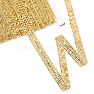 Filigree Polyester Lace Trim, Piping Strips for Home Textile Decoration, Gold, 3/8 inch(10mm)(OCOR-WH0074-98A)