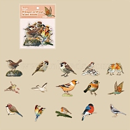 PET Decorative Stickers, Bird Theme, Waterproof Self-Adhesive Stickers, for Laptop, Refrigerator, Phone, DIY Photo Album Diary Scrapbook Decoration, Light Salmon, 32x41x0.1mm(DIY-M076-01E)