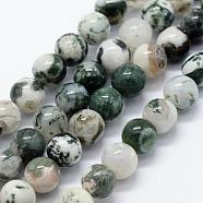 Natural Tree Agate Beads Strands, Round, 6mm, Hole: 1.2mm, about 63pcs/strand, 14.76 inch(37.5cm)(G-I199-03-6mm)