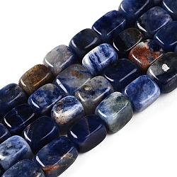 Natural Sodalite Beads Strands, Cuboid, 6.5~10x4.5~7x4.5~5.5mm, Hole: 0.8mm, about 52pcs/strand, 14.96~15.35''(38~39cm)(G-T141-11A)