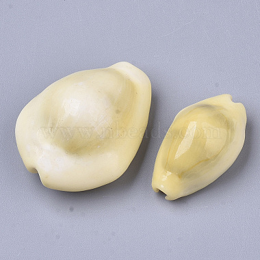 Natural Cowrie Shell Beads(X-SSHEL-N034-A-26)-2
