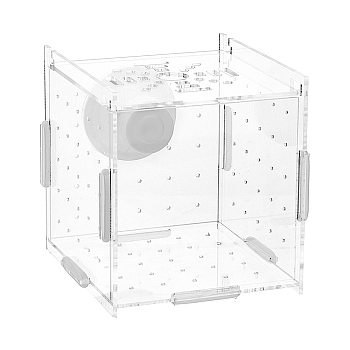 Plastic Fish Breeding Box, Fish Spawning Hatching Maternity Room, with Suction Cup, Clear, 100x100x100mm