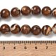Natural Trochus Shell Beads Strands(SH-CBAFEDD-02C)-2