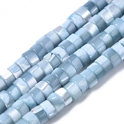 Natural Trochus Shell Beads Strands, Dyed, Flat Round/Disc, Heishi Beads, Light Steel Blue, 4x2mm, Hole: 0.8mm, about 154~160pcs/strand, 14.96~15.75 inch(38~40cm)(SHEL-S278-027I)