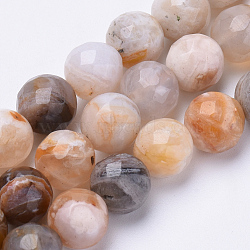 Natural Bamboo Leaf Agate Beads Strands, Faceted, Round, 8mm, Hole: 1.2mm, about 45pcs/strand, 15.3 inch(G-S281-20-8mm)