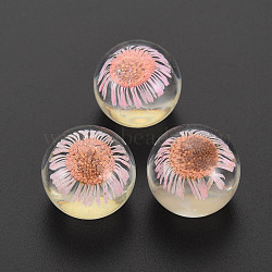 Transparent Acrylic Cabochons, with Dried Flower, Half Round, Pink, 20x17.5mm(TACR-N006-62C)