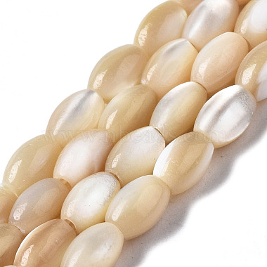 BurlyWood Oval Trochus Shell Beads
