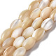 Natural Trochid Shell/Trochus Shell Beads Strands(SSHEL-S266-021B-01)-1