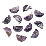 Carveing Face Crescent Moon Natural Amethyst Display Decorations, Home Decoration, 26x15x7mm(MATO-PW0001-015K)