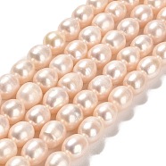Natural Cultured Freshwater Pearl Beads Strands, Rice, Grade 2A, PeachPuff, 10x9mm, Hole: 0.5mm, about 38~39pcs/strand, 15.35''(39cm)(PEAR-E016-122)