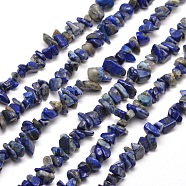 Natural Lapis Lazuli Chip Bead Strands, 5~8x5~8mm, Hole: 1mm, about 31.5 inch(G-M205-14)