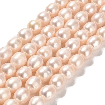 Natural Cultured Freshwater Pearl Beads Strands, Rice, Grade 2A, PeachPuff, 10x9mm, Hole: 0.5mm, about 38~39pcs/strand, 15.35''(39cm)