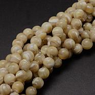 Natural Sea Shell Round Bead Strands, 8mm, Hole: 1mm, about 52pcs/strand, 15.7 inch(SSHEL-M013-8mm-02)