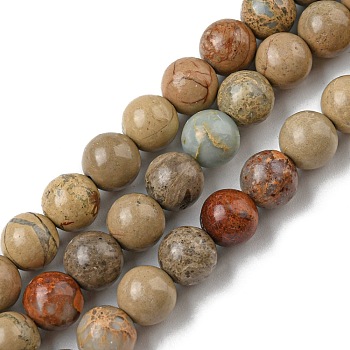 Natural Aqua Terra Jasper Strands, Impression Jasper, Round, 8x7.5mm, Hole: 1mm, about 46~49pcs/strand, 15.5 inch