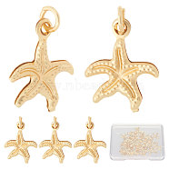 30Pcs Brass Charms, Long-Lasting Plated, Starfish, Real 18K Gold Plated, 14.5x12x1.5mm, Hole: 2.5mm(KK-BBC0007-28)