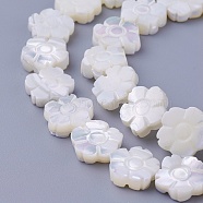 Shell Beads Strands, Flower, 11~11.7x3~4.5mm, Hole: 0.7mm, about 37pcs/strand, 16.14 inch(41cm)(SSHEL-E571-35)