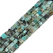 Natural African Turquoise(Jasper) Beads Strands, Cube, 3.5x3.5x3.5mm, Hole: 0.7mm, about 110pcs/strand, 15.16''(38.5cm)(G-B129-A20-01)