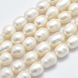 Natural Cultured Freshwater Pearl Beads Strands, Oval, Floral White, 9~10.5x6~7mm, Hole: 0.8mm, about 36~41pcs/strand, 13.78 inch~14.17 inch(35~36cm)(PEAR-I003-07-01)