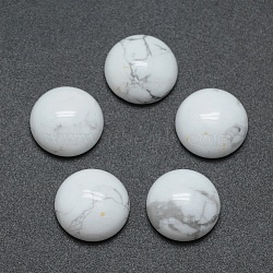 Natural Howlite Cabochons, Half Round, 12x5~6mm(X-G-P393-R32-12mm)