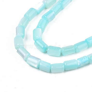 Natural Trochid Shell/Trochus Shell Beads Strands(SHEL-N003-26-B09)-3