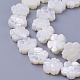 Shell Beads Strands(SSHEL-E571-35)-1