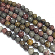 Natural Dendritic Jasper Beads Strands, Round, Mixed Color, 8mm, Hole: 1mm, about 49pcs/strand, 15.4 inch(X-G-H1632-8MM)