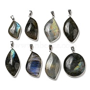 Natural Labradorite Pendants, Mixed Teardrop Charms with Platinum Plated Brass Frame and Iron Snap on Bails, 34.5~46x22~33x6~9.5mm, Hole: 3.8x6.5mm(KK-C034-05P)