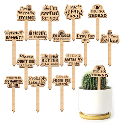 15Pcs 15 Style Wood Plant Labels, for Seed Potting, Herbs, Flowers, Vegetables, Word, 120x63.5x3mm, 1pc/style(WOOD-WH0133-032)