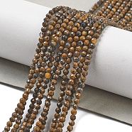 Natural Tiger Iron Beads Strands, Faceted, Round, 2.5mm, Hole: 0.5mm, about 180pcs/strand, 15.63''(39.7cm)(G-B120-A01-01)