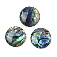 Natural Paua Shell Cabochons, Flat Round, 12x2.5mm(SSHEL-I026-20C)