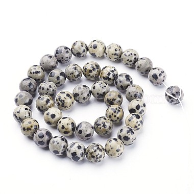 Natural Dalmatian Jasper Beads Strands(X-GSR10mmC004)-3