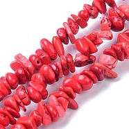 Natural Magnesite Beads Strands, Dyed, Chip, Red, 6~10x6~10x3~4mm, Hole: 0.5~0.7mm, 15.55''~16.54''(39.5~42cm)(TURQ-P001-02A-13)