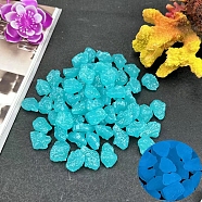 Plastic Imitation Luminous Stone Display Decoration, Nuggest, Deep Sky Blue, 20mm(PW-WG75281-08)