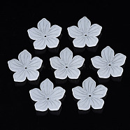 Transparent Acrylic Beads, Frosted, Flower, Clear, 25x26x5.5mm, Hole: 1.6mm, about 690pcs/500g(FACR-N005-004)