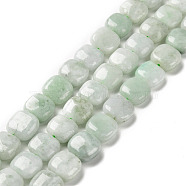 Natural Myanmar Jade Beads Strands, Square, 11x10.5x5~5.5mm, Hole: 1.2mm, about 38pcs/strand, 15.75 inch(40cm)(G-C238-16B)