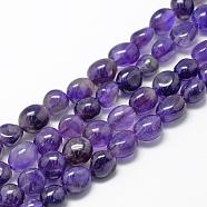 Natural Amethyst Beads Strands, Grade A, Oval, 8~15x7~12x4~12mm, Hole: 1mm, about 30~45pcs/strand, 15.7 inch(G-R445-8x10-03)