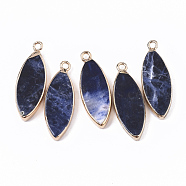 Edge Golden Plated Natural Sodalite Pendants, with Iron Loop, Horse Eye, 28.5~30.5x10.5x3.5mm, Hole: 1.6mm(X-G-T131-06C)