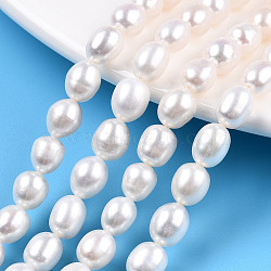 Natural Cultured Freshwater Pearl Beads Strands, Rice, Seashell Color, 7.3~8.3x5.9~6.6mm, Hole: 0.7~0.8mm, about 45~50pcs/strand, 14.17 inch(36cm)(PEAR-N012-06P)