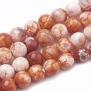 Dyed Natural Crackle Agate Beads Strands, Round, Coral, 8~8.5mm, Hole: 1mm, about 48pcs/strand, 15.1 inch(X-G-T100-03F)