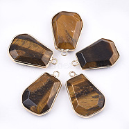 Natural Tiger Eye Pendants, with Brass Findings, Trapezoid, Golden, 30~32x21~22x6~7mm, Hole: 2mm(G-T112-15D)