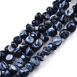 Natural Trochid Shell/Trochus Shell Beads Strands, Dyed, Nuggets, Prussian Blue, 7~12x5~10x4~8mm, Hole: 1mm, about 60~64pcs/strand, 15.16 inch~15.75 inch(38.5~40cm)(SSHEL-N032-48-A01)