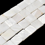 Natural Freshwater Shell Beads Strands, Square, Seashell Color, 14.5~15.5x14.5~15.5x3mm, Hole: 0.5mm, about 26pcs/strand, 15.35~15.47''(39~39.3cm)(SHEL-A006-10B)