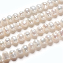 Natural Cultured Freshwater Pearl Beads Strands, Rondelle, Antique White, 6~8x5~6mm, Hole: 0.6mm, about 31pcs/strand, 6.69 inch(17cm)(PEAR-I004-06-01A)