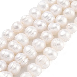 Natural Cultured Freshwater Pearl Beads Strands, Potato, Floral White, 7~8mm, Hole: 0.6mm, about 26pcs/strand, 6.69 inch(17cm)(PEAR-C003-09B)