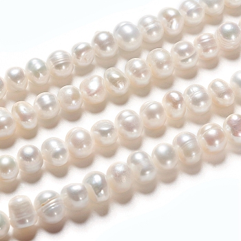 Natural Cultured Freshwater Pearl Beads Strands, Rondelle, Antique White, 6~8x5~6mm, Hole: 0.6mm, about 31pcs/strand, 6.69 inch(17cm)