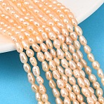 Natural Cultured Freshwater Pearl Beads Strands, Rice, Grade 3A, Pink, 4~4.5mm, Hole: 0.5mm, about 62~81pcs/strand, 13.19~13.98''(33.5~35.5cm)(PEAR-F020-26B)