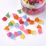 Transparent Acrylic Beads, Frosted, Flower, Dyed, Mixed Color, 12x12x1.8mm, Hole: 1.2mm, about 140~143pcs/box(FACR-JP0001-01)