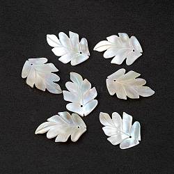 Natural Sea Shell Pendants, Leaf Charms, Seashell Color, 30x20x1.5mm, Hole: 1mm(SSHEL-K001-002)