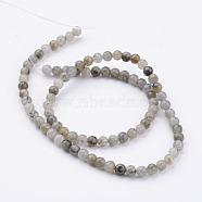 Natural Labradorite Bead Strands, Round, 4~5mm, Hole: 1mm, about 85pcs/strand, 15.16 inch(G-K152-03-4mm)